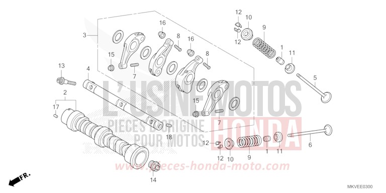 CAMSHAFT/VALVE for Forza 750 MAT WARM ASH METALLIC (YR386) from 2025